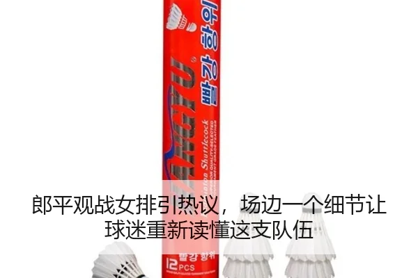 郎平观战女排引热议，场边一个细节让球迷重新读懂这支队伍